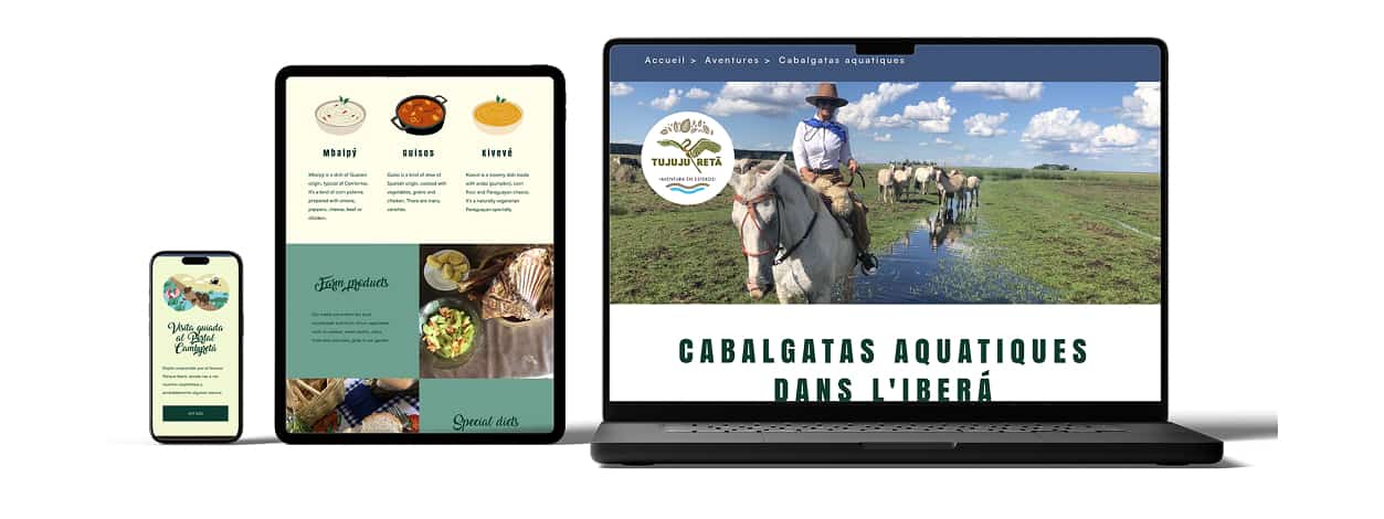 mise en scène du site
                         sur 3 écrans différents 